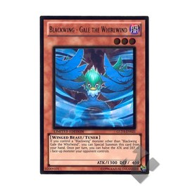 2010 YuGiOh 5D's Gold Series 3 (Three) # GLD3-EN021 Blackwing - Gale the Whirlwind (Gold Rare)
