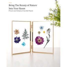 RICHFOCUS 6x8 Double Floating Picture Frame, Floating Display for 4x6 5x7, Hinged Folding Beaded Metal Picture Frames with Real Glass, Tabletop Photo Frame for Multiple Size, for Home Decor, Gold