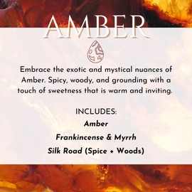 Herb & Root 3 Pc Mini Variety Perfume Set for Women or Men, Unisex Aromatherapy Oils Roll Ons, Floral, Gourmand, Woods, Earthy, Aromatic, Citrus (Amber)