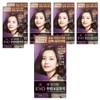 Ryeo Uachae Stylish Gray Hair Cream, 6C (Coffee Brown), 6 Pieces / 려 우아채 멋내기 새치크림, 6C (커피브라운), 6개