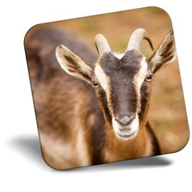 Destination Vinyl ltd Fridge Magnet - Cute Goat Farm Animal for Office, Cabinet and Whiteboard, Magnetic Stickers, 44775