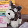 Apricot Lamb Charming Schnauzer Dog Puppy, Plush Toy for Girls,