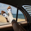 Wilson Payne Down Under Socks - Barn Owl, 2-8