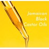 Peppermint Black Castor Oil by Jamaican Mango
