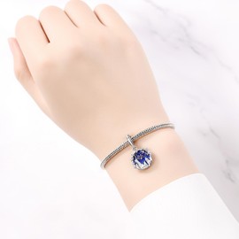 PANPOKI Charms 925 Sterling Silver Bead Charm for Women Compatible with European Bracelets and Necklaces, Sterling Silver, No Gemstone