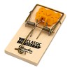 Intruder 17100 The Classic Mousetrap 2 Pack