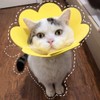 DFsucces Elizabeth Collar for Cats and Dogs, Adjustable, Lightweight, Soft,