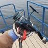 Grtard 700LBS Magnet Fishing Kit, Super Strong Neodymium Fishing Magnets,