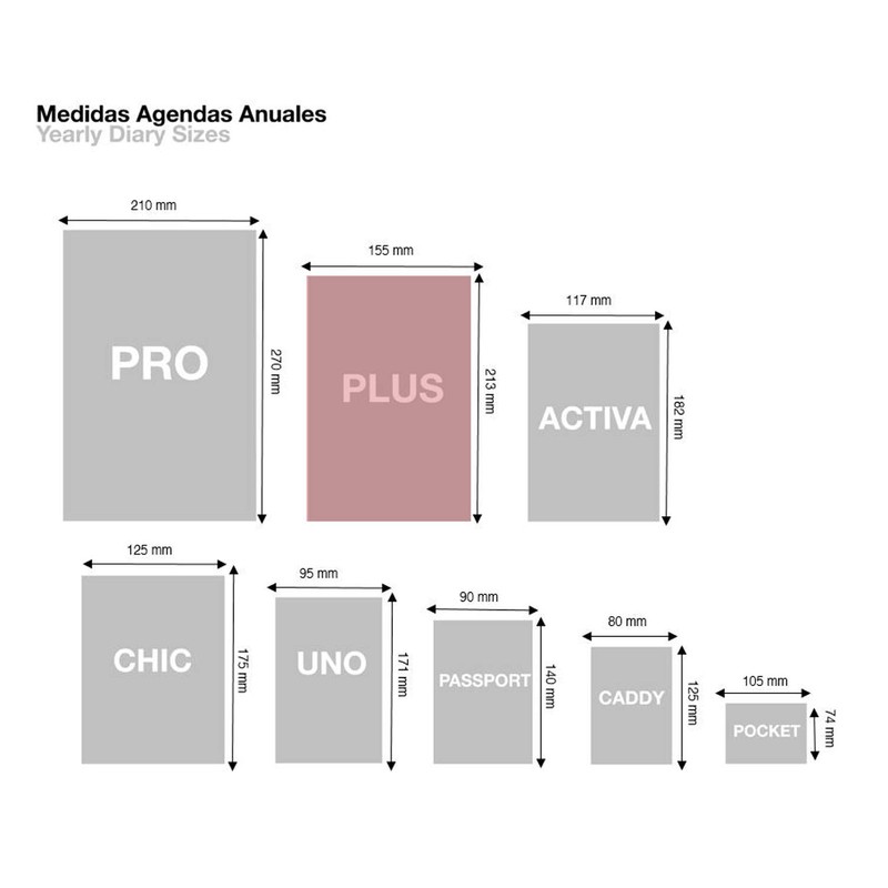 Miquelrius 360061 – Annual Day Diary