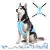 Dry-Chill Dog Cooling Vest – Adjustable Summer Jacket for Hot