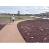 Decomposed Granite and Soil Stabilizer/Binder. Construction Grade Psyllium Husk. 1/2