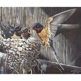 Wilhelm Goebel - Country Living - Barn Swallow