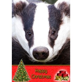 Badger Wild Animal Christmas Card 'Happy Christmas' - Special Xmas Card for Him Her Kids Male Female