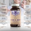 FS Lions Mane | High Strength Lion's Mane Supplement -