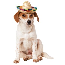 Rubies Pet Sombrero Hat with Multicolor Trim
