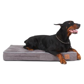 Laifug Orthopedic Memory Foam Pet(40"x 25"x 4",Slate Grey)/Dog Bed with Durable WaterProof Liner and Removable Washable Cover