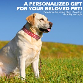 BINGPET Leather Dog Collar,Adjustable Dog Real Split PU Leather Studded Pet Dog Collar,Studded Dog Collar Leather Pet Collars for Small Medium Large Pet - RED XS