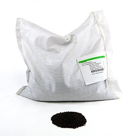 Red Rock Mammoth Cabbage Seeds: 5 Lb - Bulk, Non-GMO, Chemical Free Sprouting Seeds for Vegetable Garden & Growing Microgreens