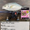 Daiwa Fluoro Line, Marine Fishing Pond, Fluoro, Stealth Pink, 4-60