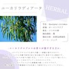 Eucalyptus Radiata < 30ml > Essential Oil / Essential Oil