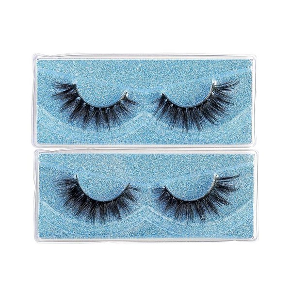 2 Pairs Cat Eye False Eyelashes, Wispy Cluster Lashes, Natural