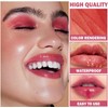 Set de 4 Brillos de Labios Hidratantes Nude, Gloss Líquido
