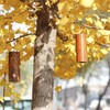 Mowind Chakra Chimes Natural Bamboo Wind Chimes Meditation Chord Windchime