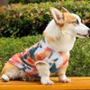 Paipeper 犬 服 中型犬 大型犬 犬の服 夏服 ドッグウェア Tシャツ クールウェア