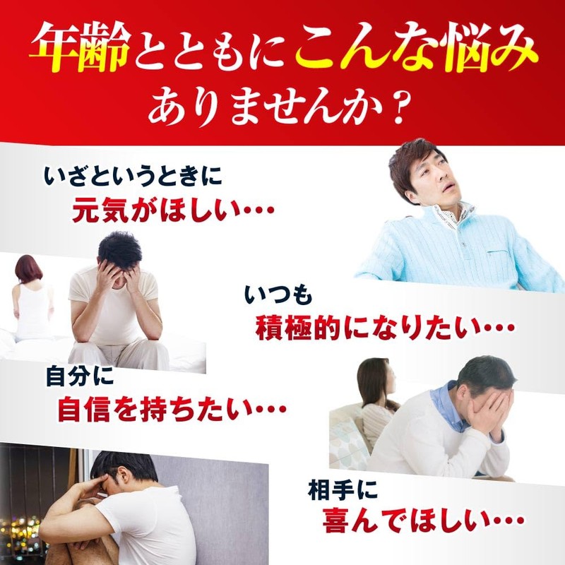 プロキオン エールマカ 黒マカ ウコン シトルリン 亜鉛 バイオペリン セレン 180粒 2ヶ月分