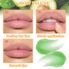 2 Pack Avocado Lip Scrub Set,Long Lasting Moisturizing Lip Scrubber