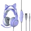 Cat Ear Headphones with Noise Reduction Mic for Girls All
