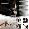 Reflective Anti-Pull Dog Harness & Leash Set | Adjustable Step-in