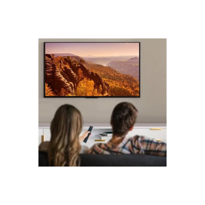 AULCMEET New VR10 TV Remote Replacement Compatible with VIZIO LCD