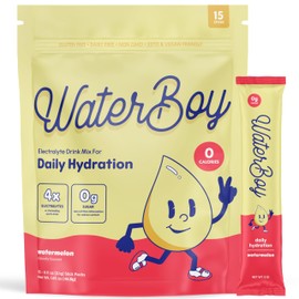Waterboy Daily Hydration | 1,570mg Electrolyte Powder Packets | No Sugar, All Natural, Gluten Free, Zero Calories | 15 Drink Stick Mixes