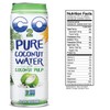 C2O Pure Coconut Water with Pulp | Plant Based |