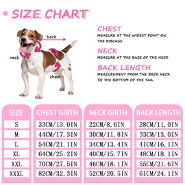 FEimaX Dog Recovery Suit After Surgery, Pet Abdominal Wounds Post Surgical Shirt for Dogs Cats, Puppy Spay Neuter Prevent Licking Onesie Alternative Bandages E-Collar & Cone