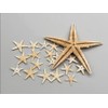 Labriciyon 50 Pcs Natural Starfish Star Seashell Beach Craft, for