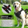 FEimaX Dog Harness No Pull Soft Padded Dog Vest with