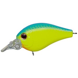 Evergreen Piccolo Dive Shallow #28 Blue Back Chart