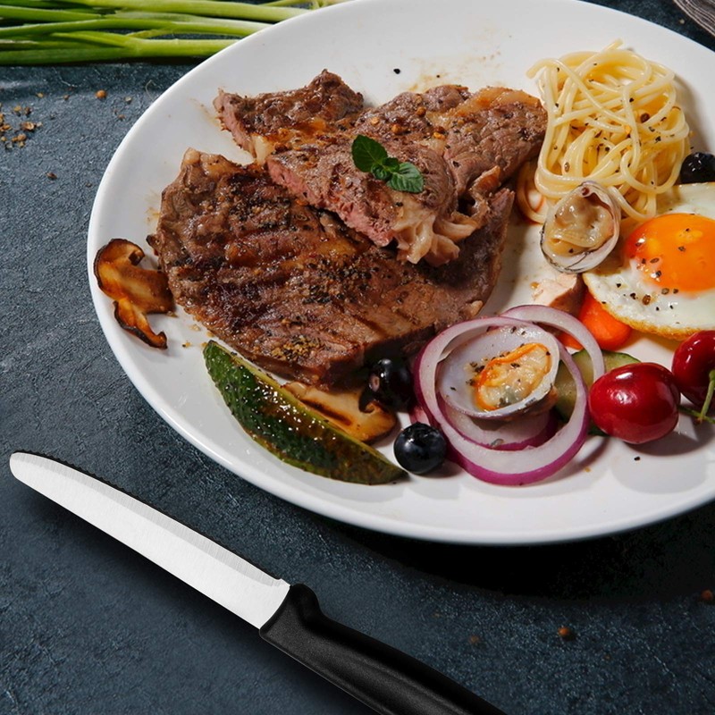 HOHSCHEID Steakmesser Set 6-teilig, Edelstahl Steakbesteck Set Fein Wellenschliff Steakmesser