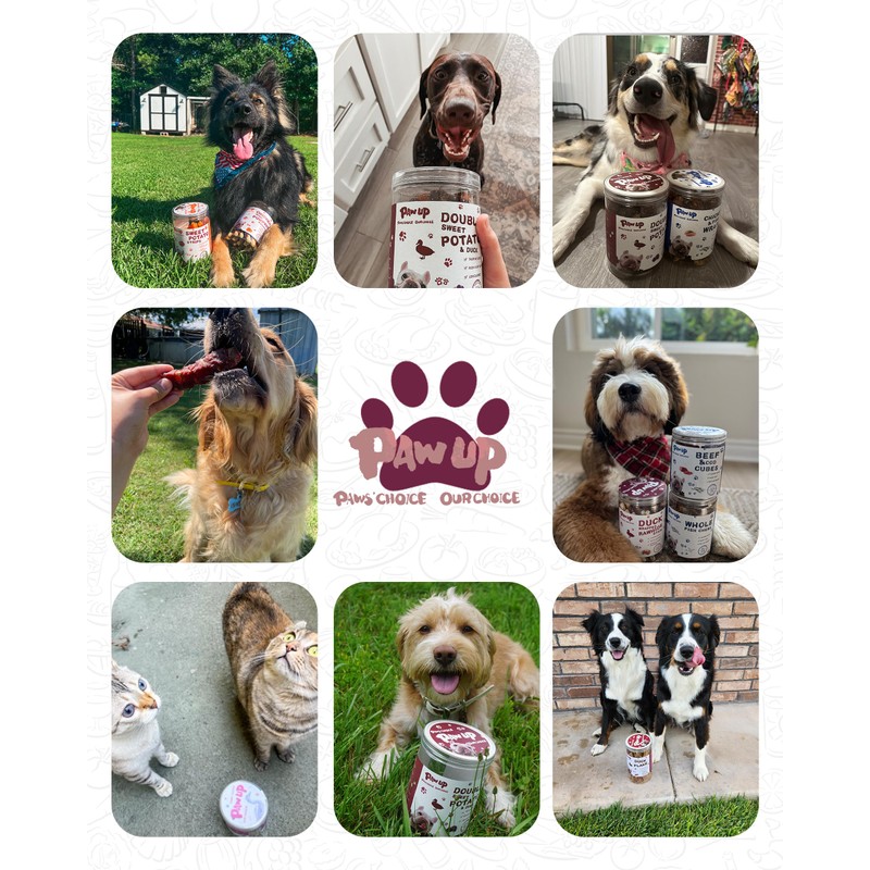 PAWUP Duck Jerky Strips Dog Treats, Training Treats for Dogs