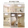 Forest Gathering Ceiling Light with Motion Sensor LED 1100 lm