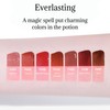 BLACK ROUGE Icy to Fog Velvet Lip Potion, Korean Beauty,