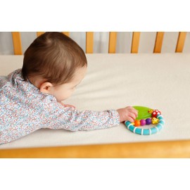 Sassy TYSA80678 Teeth Rattle Kamikami Caterpillar & Ladybug Teaser (3 Months and Up), Cool to the Touch