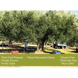 Extra Virgin Olive Oil Cold Pressed - London Award-Winning - 33.81 Fluid Ounce,Antique Ephesus, Mediterranean Region of Ayvalik Turkey (Extra Virgin)