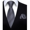 HISDERN Mens Grey Tie and Pocket Square Set Classic Formal
