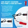 AMZZN 2PCS 3.7V 3000mAh Li-ion Battery with Molex Plug and