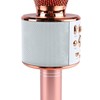 Kids Singing Microphone Portable Handheld Wireless Bluetooth Condenser Mic Speaker