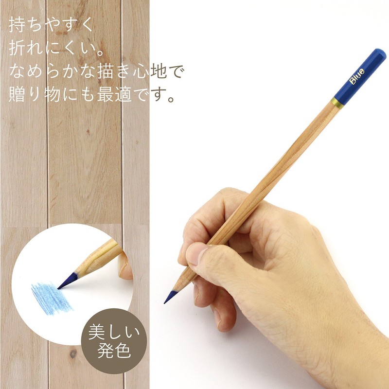 Shachihata ZCP-24C Colored Pencils, Thick Core, 24 Colors