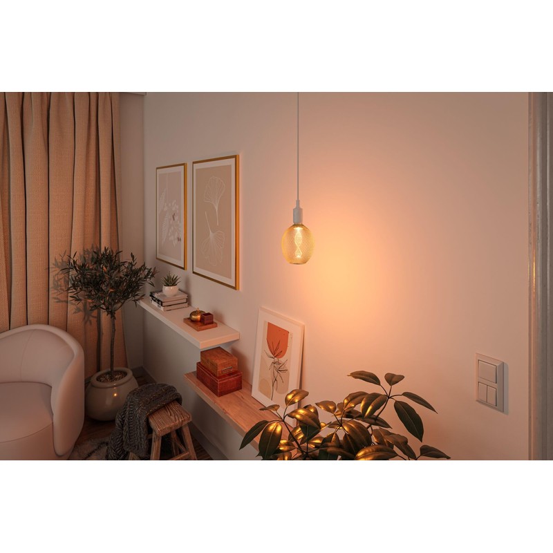 Paulmann 29088 Metallic Glow Edition Standard 230V LED Globe E27